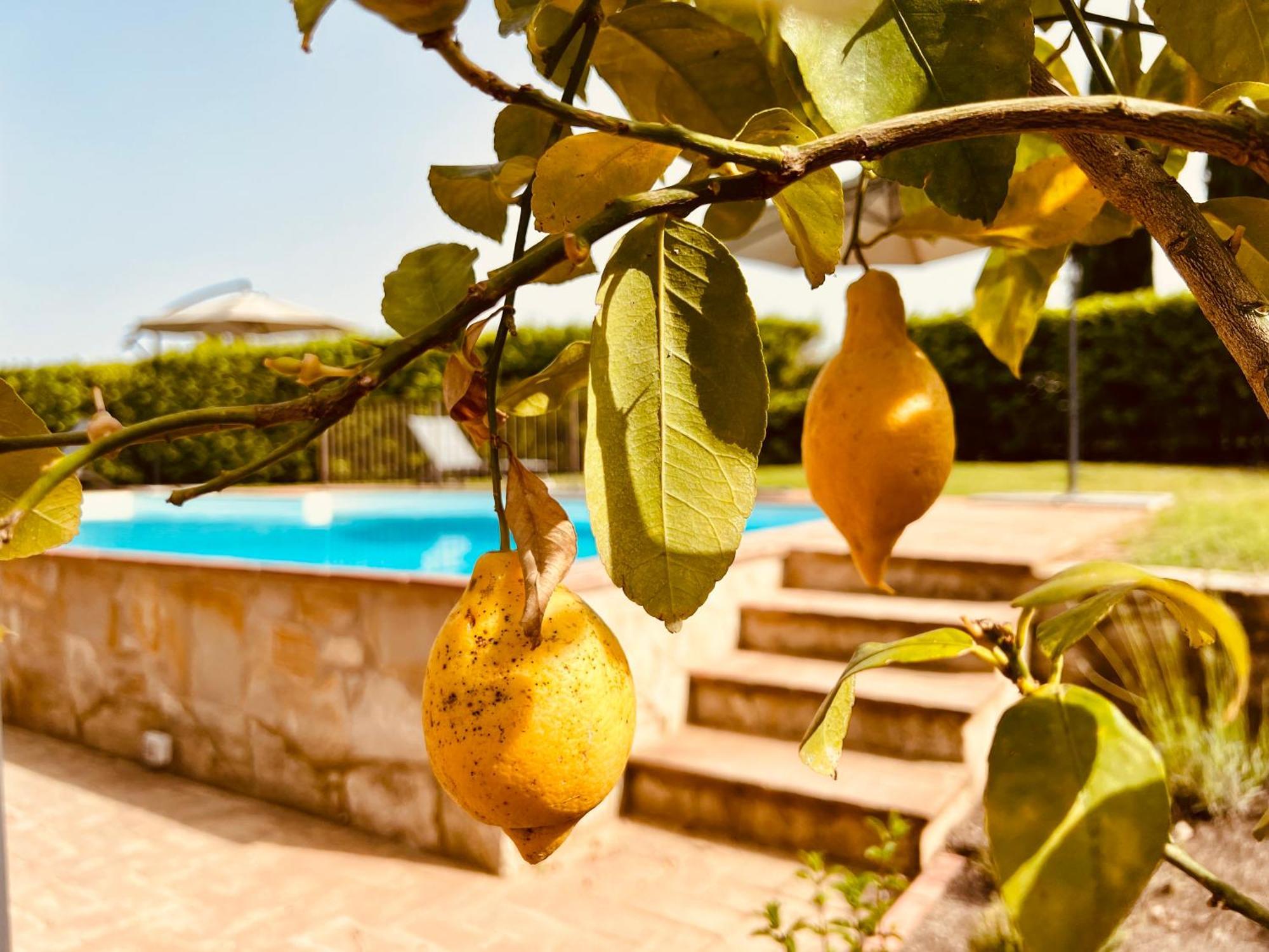 Libertas Tuscan Hideaway San Sano Εξωτερικό φωτογραφία