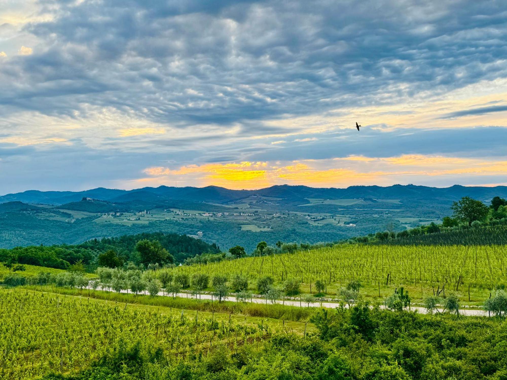 Libertas Tuscan Hideaway San Sano Εξωτερικό φωτογραφία